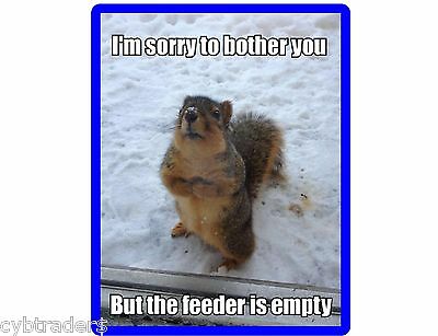 Funny Squirrel Feeder Empty Winter Time  Refrigerator / Tool Box Magnet Ad