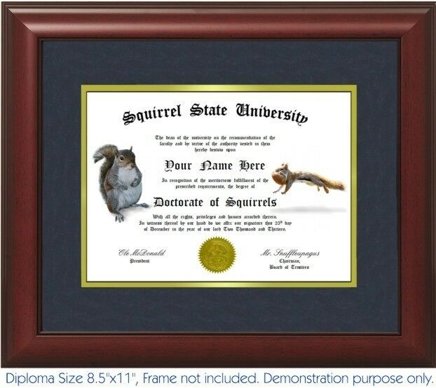 Squirrel Diploma - Personalized With Your Name/date- Best On Ebay. Squirrels