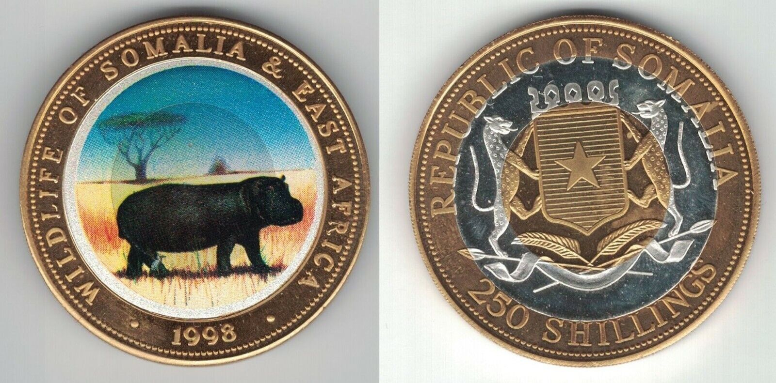 Somalia Colored Trimetal Unc 250 Shillings Coin 1998 Year Km#48a Hippo