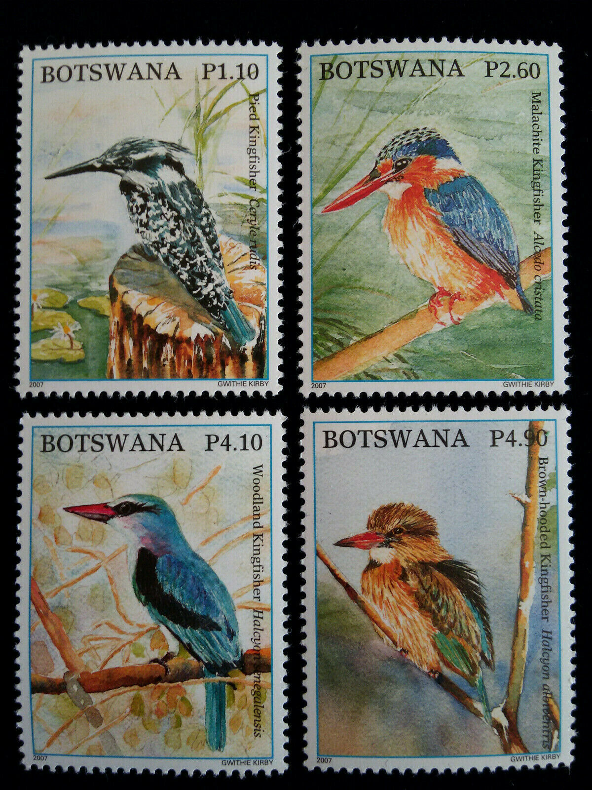Botswana 2007-botswana Kingfishers-set Of 4 Stamps Mnh